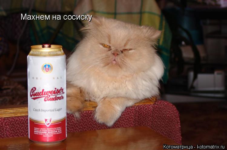 Махнем на сосиску... Котоматрица: Махнем на сосиску