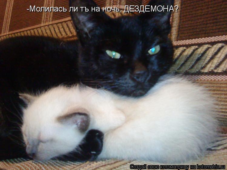-Молилась ли тъ на ночь, ДЕЗДЕМОНА?... Котоматрица: -Молилась ли тъ на ночь, ДЕЗДЕМОНА?
