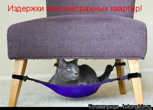 Издержки малометражных квартир!... Котоматрица: Издержки малометражных квартир!