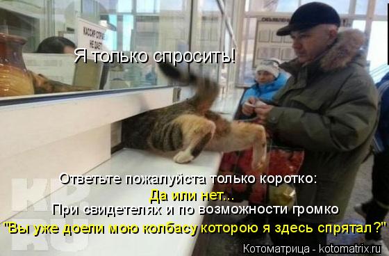 Я только спросить! При свидетелях и по возможности громко "Вы уже доели мою колбасу которою я здесь с... Котоматрица: Я только спросить! При свидетелях и по возможности громко "Вы уже доели мою колбасу которою я здесь спрятал?" Ответьте пожалуйста только кор