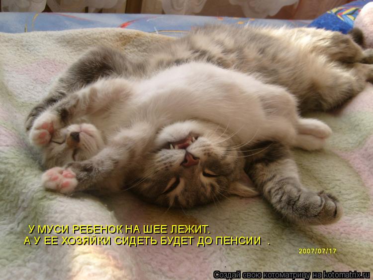 У МУСИ РЕБЕНОК НА ШЕЕ ЛЕЖИТ. А У ЕЕ ХОЗЯЙКИ СИДЕТЬ БУДЕТ ДО ПЕНСИИ .... Котоматрица: У МУСИ РЕБЕНОК НА ШЕЕ ЛЕЖИТ. А У ЕЕ ХОЗЯЙКИ СИДЕТЬ БУДЕТ ДО ПЕНСИИ .