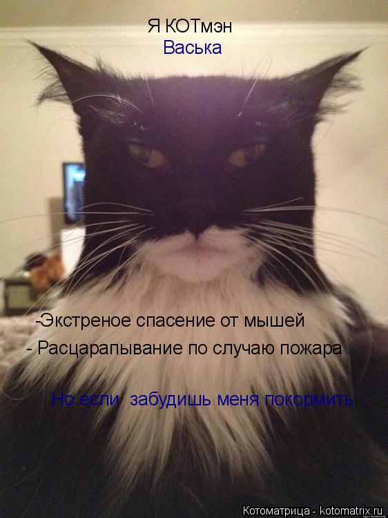 -Экстреное спасение от мышей - Расцарапывание по случаю пожара Я КОТмэн Но если забудишь меня покорм... Котоматрица: -Экстреное спасение от мышей - Расцарапывание по случаю пожара Я КОТмэн Но если забудишь меня покормить... Васька