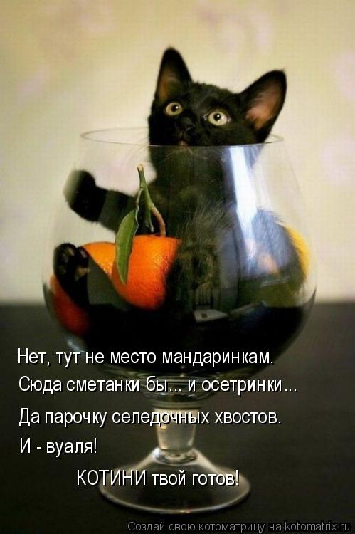 Нет, тут не место мандаринкам. Сюда сметанки бы... и осетринки... Да парочку селедочных хвостов. И - ... Котоматрица: Нет, тут не место мандаринкам. Сюда сметанки бы... и осетринки... Да парочку селедочных хвостов. И - вуаля! КОТИНИ твой готов!