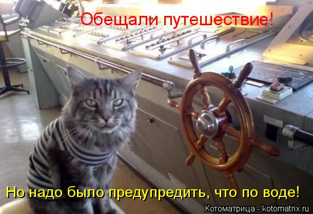 Обещали путешествие! Но надо было предупредить, что по воде!... Котоматрица: Обещали путешествие! Но надо было предупредить, что по воде!