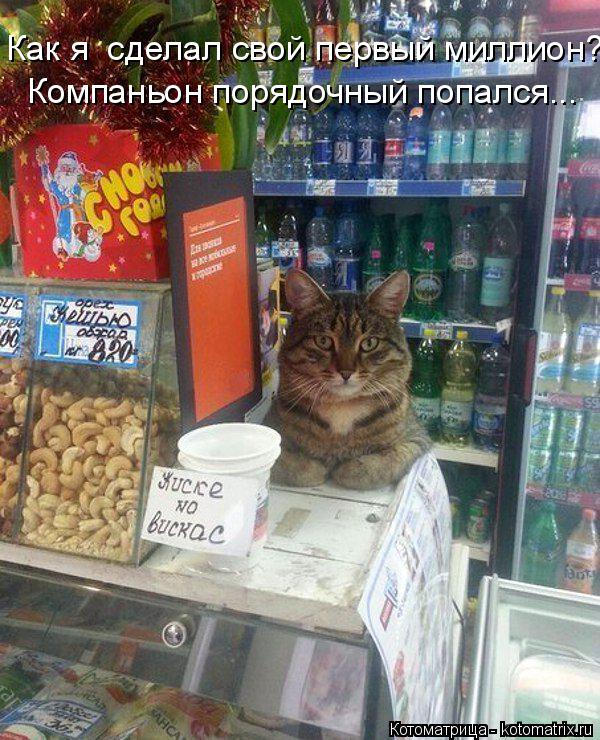 Как я сделал свой первый миллион? Компаньон порядочный попался...... Котоматрица: Как я сделал свой первый миллион? Компаньон порядочный попался...