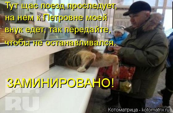 Тут щас поезд проследует, на нем к Петровне моей внук едет, так передайте, чтобы не останавливался... Котоматрица: Тут щас поезд проследует, на нем к Петровне моей внук едет, так передайте, чтобы не останавливался. ЗАМИНИРОВАНО!