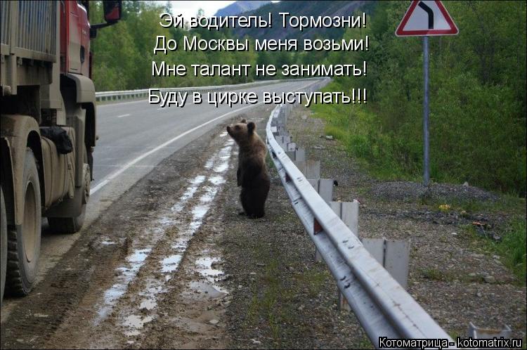 Эй водитель! Тормозни! До Москвы меня возьми! Мне талант не занимать! Буду в цирке выступать!!!... Котоматрица: Эй водитель! Тормозни! До Москвы меня возьми! Мне талант не занимать! Буду в цирке выступать!!!