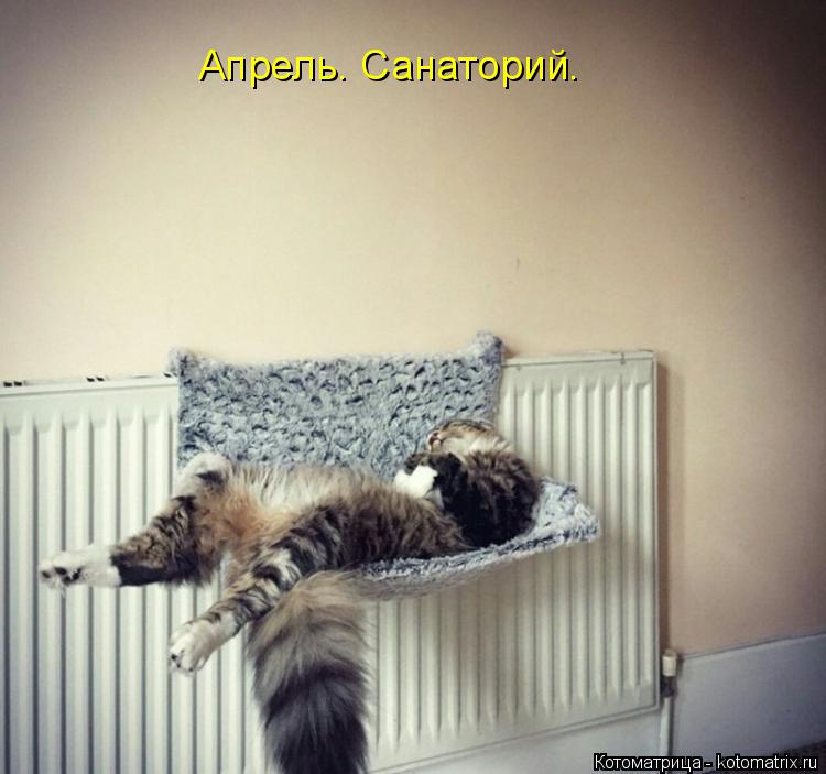 Апрель. Санаторий.... Котоматрица: Апрель. Санаторий.