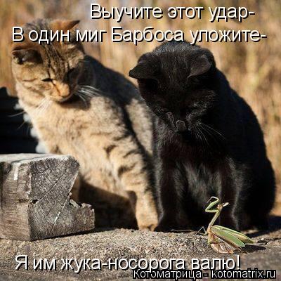 Выучите этот удар- В один миг Барбоса уложите- Я им жука-носорога валю!... Котоматрица: Выучите этот удар- В один миг Барбоса уложите- Я им жука-носорога валю!