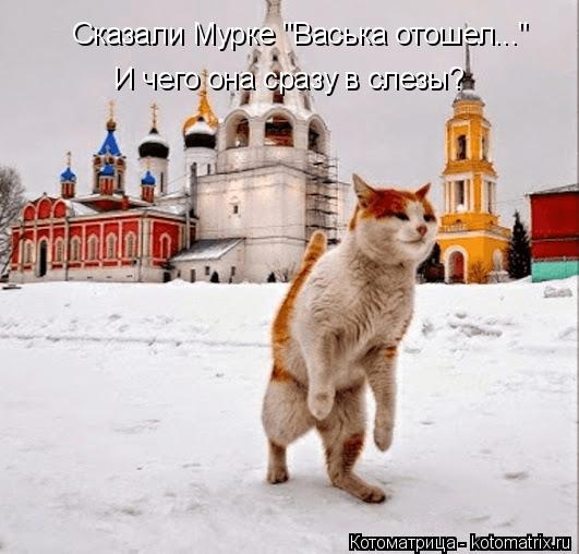 Сказали Мурке "Васька отошел..." И чего она сразу в слезы?... Котоматрица: Сказали Мурке "Васька отошел..." И чего она сразу в слезы?