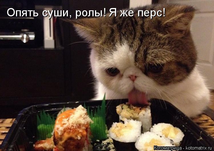 Опять суши, ролы! Я же перс!... Котоматрица: Опять суши, ролы! Я же перс!