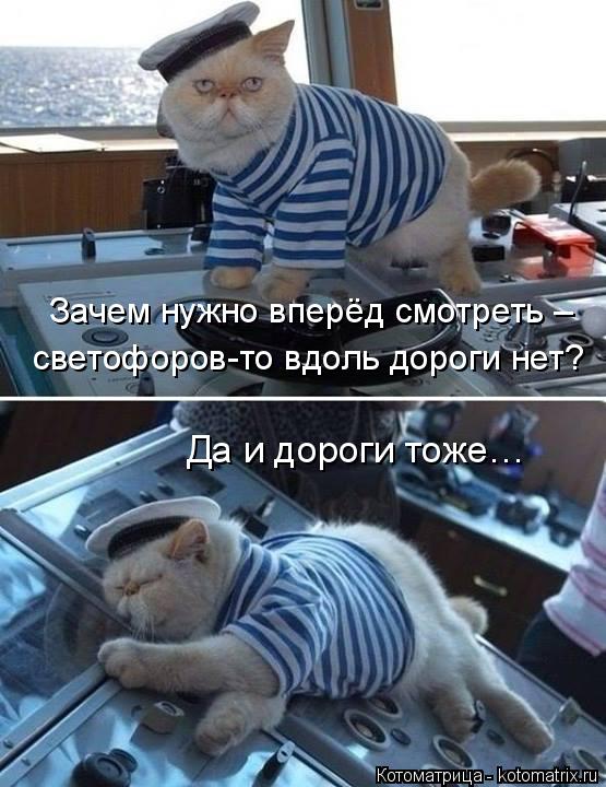 Зачем нужно вперёд смотреть – светофоров-то вдоль дороги нет? Да и дороги тоже…... Котоматрица: Зачем нужно вперёд смотреть – светофоров-то вдоль дороги нет? Да и дороги тоже…
