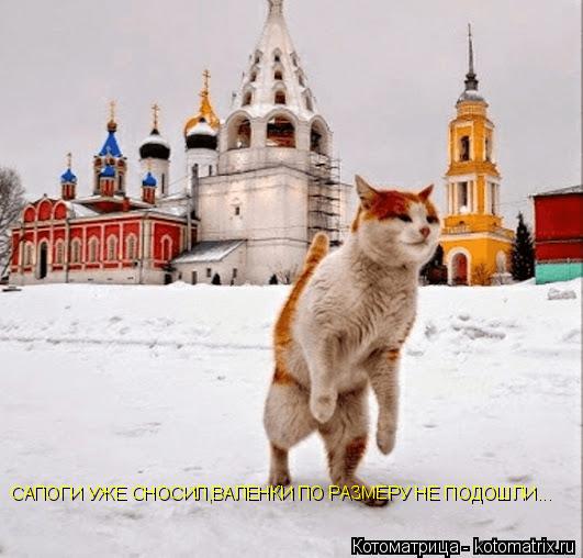 САПОГИ УЖЕ СНОСИЛ,ВАЛЕНКИ ПО РАЗМЕРУ НЕ ПОДОШЛИ...... Котоматрица: САПОГИ УЖЕ СНОСИЛ,ВАЛЕНКИ ПО РАЗМЕРУ НЕ ПОДОШЛИ...
