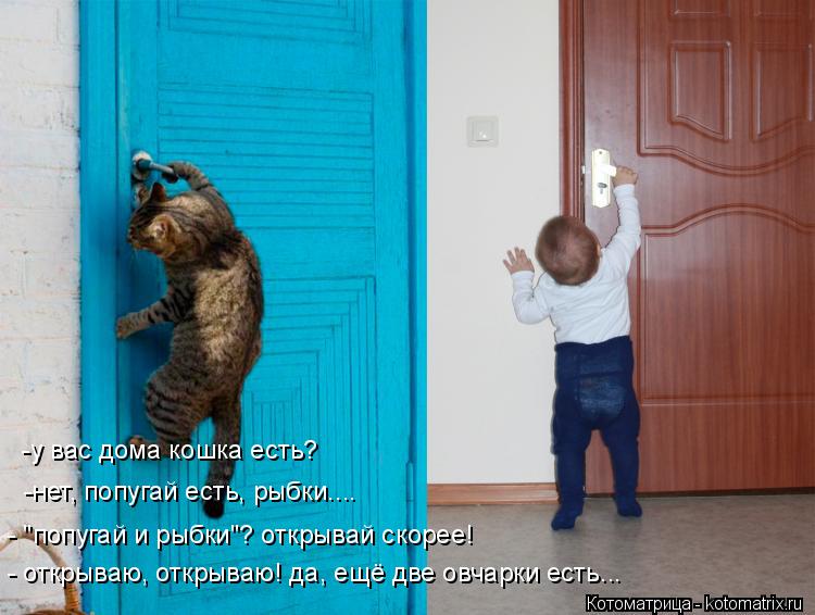 - открываю, открываю! да, ещё две овчарки есть... - "попугай и рыбки"? открывай скорее! -нет, попугай... Котоматрица: - открываю, открываю! да, ещё две овчарки есть... - "попугай и рыбки"? открывай скорее! -нет, попугай есть, рыбки.... -у вас дома кошка есть?