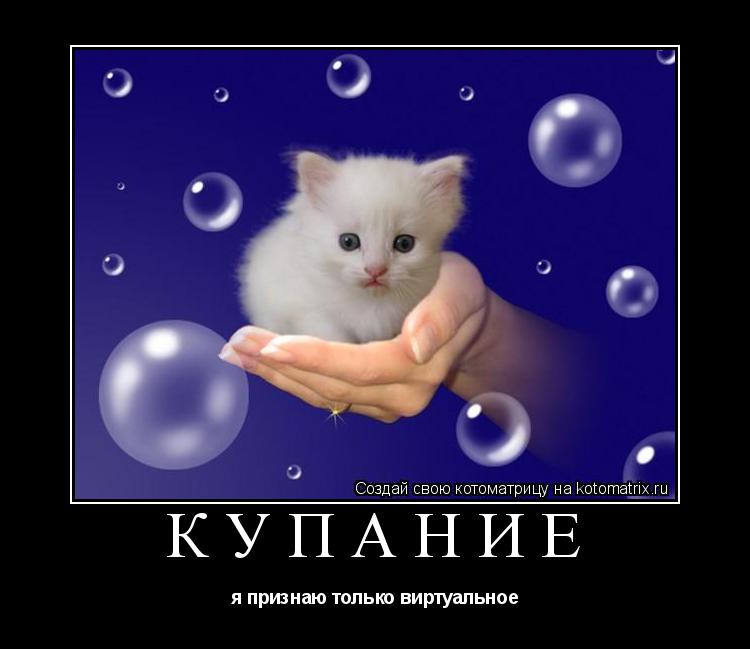 КУПАНИЕ я признаю только виртуальное... Котоматрица: КУПАНИЕ я признаю только виртуальное