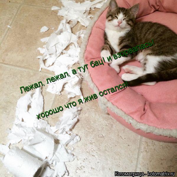 Лежал, лежал, а тут бац! и взорвалась! хорошо что я жив остался!... Котоматрица: Лежал, лежал, а тут бац! и взорвалась! хорошо что я жив остался!