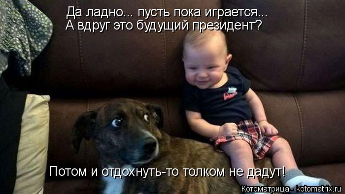Да ладно... пусть пока играется... А вдруг это будущий президент? Потом и отдохнуть-то толком не даду... Котоматрица: Да ладно... пусть пока играется... А вдруг это будущий президент? Потом и отдохнуть-то толком не дадут!