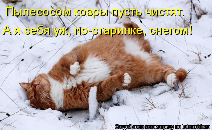 Пылесосом ковры пусть чистят. А я себя уж, по-старинке, снегом!... Котоматрица: Пылесосом ковры пусть чистят. А я себя уж, по-старинке, снегом!