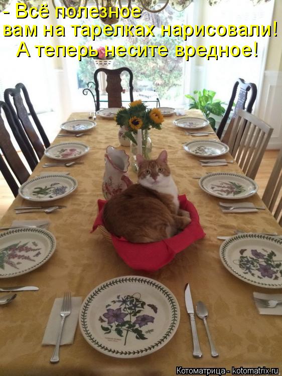 - Всё полезное вам на тарелках нарисовали! А теперь несите вредное!... Котоматрица: - Всё полезное вам на тарелках нарисовали! А теперь несите вредное!