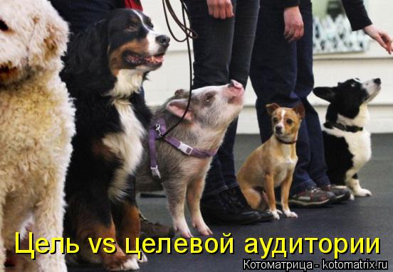Цель vs целевой аудитории... Котоматрица: Цель vs целевой аудитории