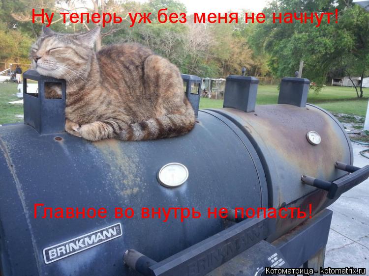 Ну теперь уж без меня не начнут! Главное во внутрь не попасть!... Котоматрица: Ну теперь уж без меня не начнут! Главное во внутрь не попасть!