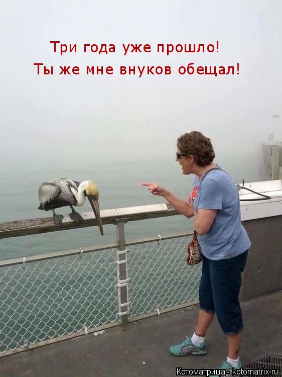 Ты же мне внуков обещал! Три года уже прошло!... Котоматрица: Ты же мне внуков обещал! Три года уже прошло!