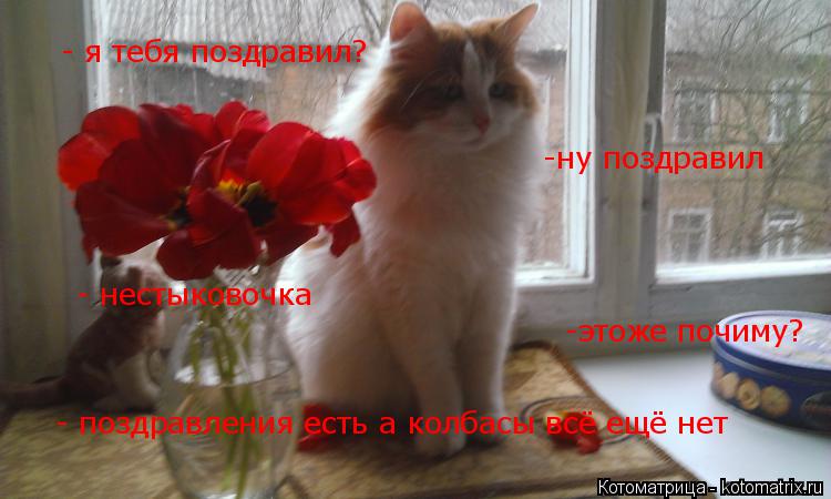 - я тебя поздравил? -ну поздравил - нестыковочка -этоже почиму? - поздравления есть а колбасы всё ещё... Котоматрица: - я тебя поздравил? -ну поздравил - нестыковочка -этоже почиму? - поздравления есть а колбасы всё ещё нет