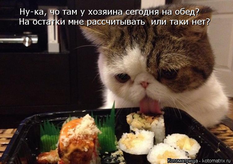 Ну-ка, чо там у хозяина сегодня на обед? На остатки мне рассчитывать или таки нет?... Котоматрица: Ну-ка, чо там у хозяина сегодня на обед? На остатки мне рассчитывать или таки нет?