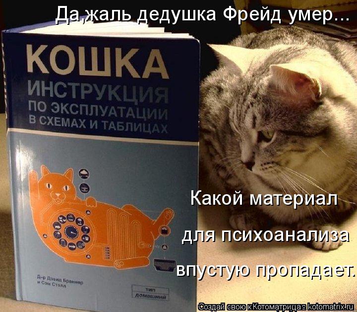 Да,жаль дедушка Фрейд умер... Какой материал для психоанализа впустую пропадает...... Котоматрица: Да,жаль дедушка Фрейд умер... Какой материал для психоанализа впустую пропадает...
