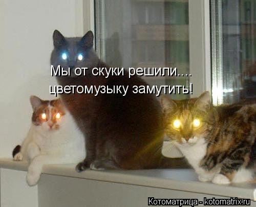 Мы от скуки решили.... цветомузыку замутить!... Котоматрица: Мы от скуки решили.... цветомузыку замутить!