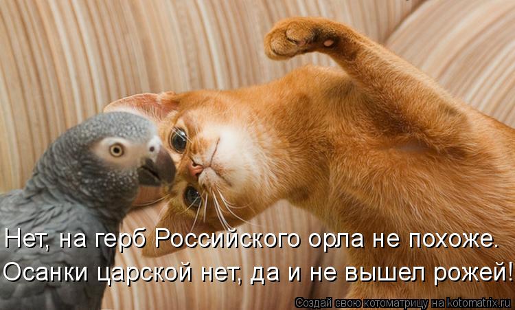 Осанки царской нет, да и не вышел рожей! Нет, на герб Российского орла не похоже.... Котоматрица: Осанки царской нет, да и не вышел рожей! Нет, на герб Российского орла не похоже.