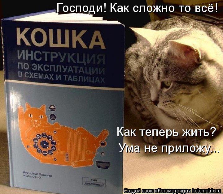 Как теперь жить? Ума не приложу... Господи! Как сложно то всё!... Котоматрица: Как теперь жить? Ума не приложу... Господи! Как сложно то всё!