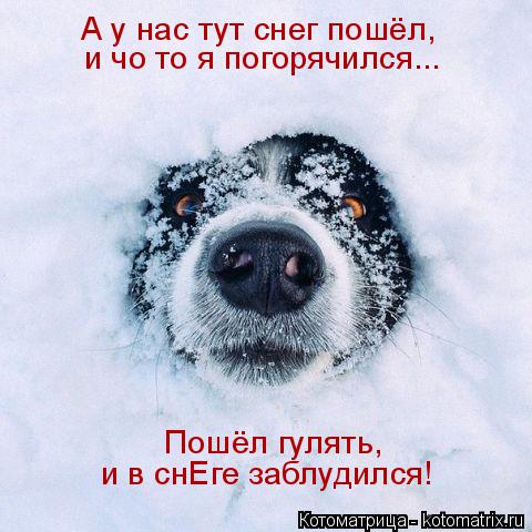 Пошёл гулять, и в снЕге заблудился! А у нас тут снег пошёл, и чо то я погорячился...... Котоматрица: Пошёл гулять, и в снЕге заблудился! А у нас тут снег пошёл, и чо то я погорячился...