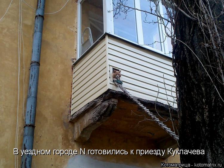 В уездном городе N готовились к приезду Куклачева... Котоматрица: В уездном городе N готовились к приезду Куклачева