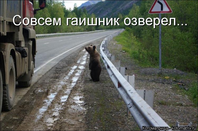 Совсем гаишник озверел...... Котоматрица: Совсем гаишник озверел...