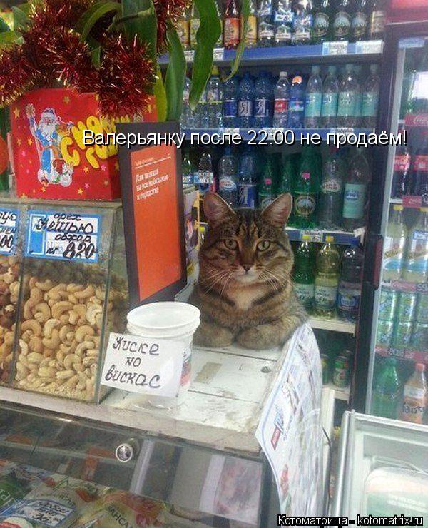 Валерьянку после 22:00 не продаём!... Котоматрица: Валерьянку после 22:00 не продаём!
