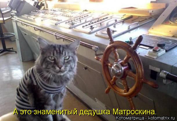 А это знаменитый дедушка Матроскина.... Котоматрица: А это знаменитый дедушка Матроскина.