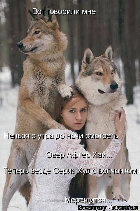 Вот говорили мне Нельзя с утра до ночи смотреть Эвер Афтер Хай... Теперь везде Сериз Худ с волчонком ... Котоматрица: Вот говорили мне Нельзя с утра до ночи смотреть Эвер Афтер Хай... Теперь везде Сериз Худ с волчонком мерещится... Мерещится...