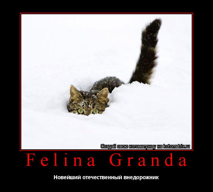 Felina Granda Новейший отечественный внедорожник... Котоматрица: Felina Granda Новейший отечественный внедорожник