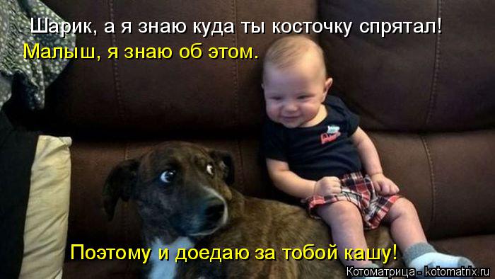 Шарик, а я знаю куда ты косточку спрятал! Малыш, я знаю об этом. Поэтому и доедаю за тобой кашу! Поэ... Котоматрица: Шарик, а я знаю куда ты косточку спрятал! Малыш, я знаю об этом. Поэтому и доедаю за тобой кашу! Поэтому и доедаю за тобой кашу!