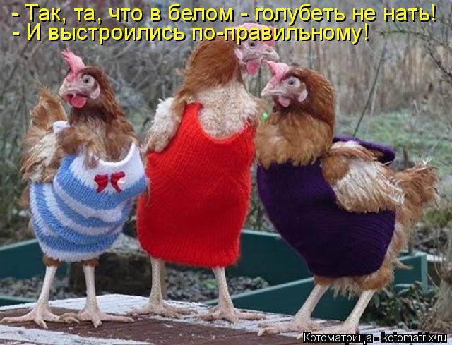 - Так, та, что в белом - голубеть не нать! - И выстроились по-правильному!... Котоматрица: - Так, та, что в белом - голубеть не нать! - И выстроились по-правильному!