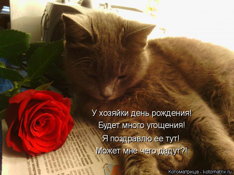 Поздравление для домохозяйки с днем рождения 43