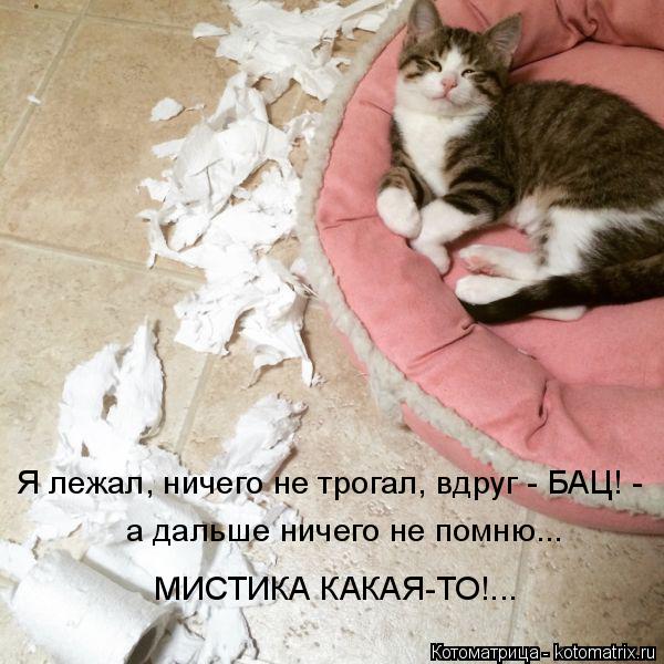 Я лежал, ничего не трогал, вдруг - БАЦ! - а дальше ничего не помню... МИСТИКА КАКАЯ-ТО!...... Котоматрица: Я лежал, ничего не трогал, вдруг - БАЦ! - а дальше ничего не помню... МИСТИКА КАКАЯ-ТО!...