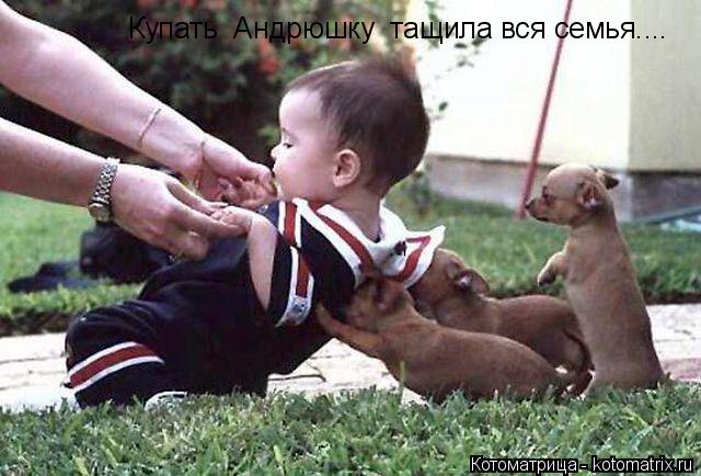 Купать Андрюшку тащила вся семья....... Котоматрица: Купать Андрюшку тащила вся семья....