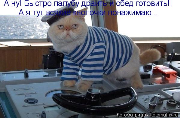 А ну! Быстро палубу драить и обед готовить!! А я тут всякие кнопочки понажимаю...... Котоматрица: А ну! Быстро палубу драить и обед готовить!! А я тут всякие кнопочки понажимаю...