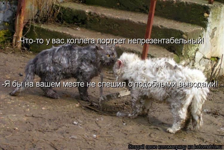 -Что-то у вас,коллега портрет непрезентабельный! -Я бы на вашем месте не спешил с подобными выводами!... Котоматрица: -Что-то у вас,коллега портрет непрезентабельный! -Я бы на вашем месте не спешил с подобными выводами!