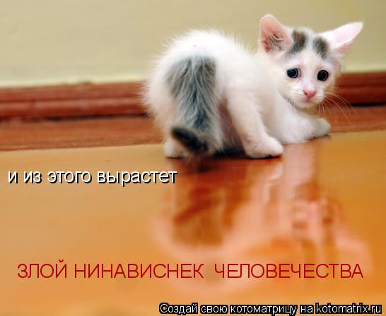 и из этого вырастет ЗЛОЙ НИНАВИСНЕК ЧЕЛОВЕЧЕСТВА... Котоматрица: и из этого вырастет ЗЛОЙ НИНАВИСНЕК ЧЕЛОВЕЧЕСТВА