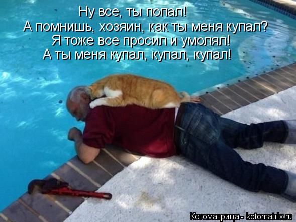 Ну все, ты попал! А помнишь, хозяин, как ты меня купал? Я тоже все просил и умолял! А ты меня купал,... Котоматрица: Ну все, ты попал! А помнишь, хозяин, как ты меня купал? Я тоже все просил и умолял! А ты меня купал, купал, купал!