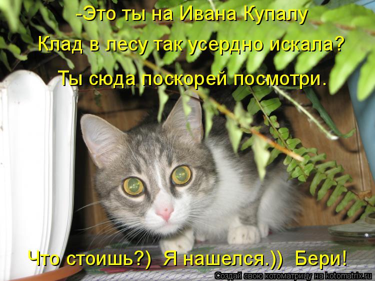 -Это ты на Ивана Купалу Клад в лесу так усердно искала? Ты сюда поскорей посмотри. Что стоишь?) Я н... Котоматрица: -Это ты на Ивана Купалу Клад в лесу так усердно искала? Ты сюда поскорей посмотри. Что стоишь?) Я нашелся.)) Бери!