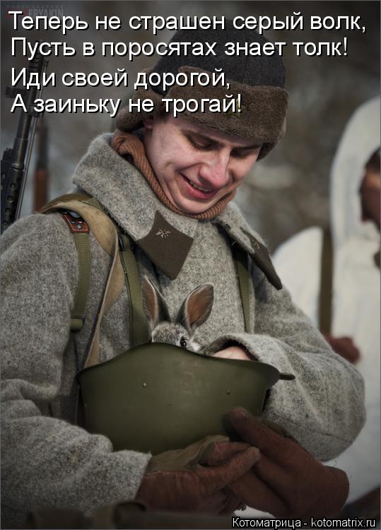 Теперь не страшен серый волк, Пусть в поросятах знает толк! Иди своей дорогой, А заиньку не трогай!... Котоматрица: Теперь не страшен серый волк, Пусть в поросятах знает толк! Иди своей дорогой, А заиньку не трогай!